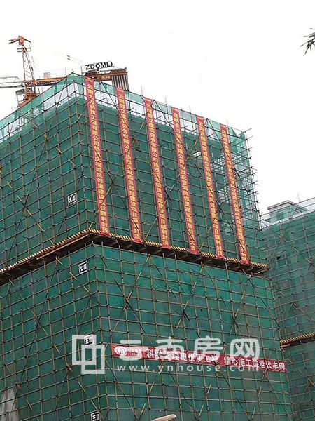 世博生態城鳴鳳鄰里實景 世博生態城鳴鳳鄰里實景