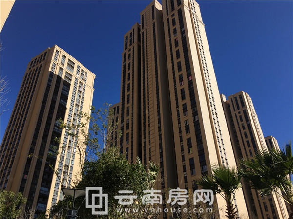 龍斗壹號(hào)海岸城實(shí)景圖 龍斗壹號(hào)海岸城實(shí)景圖