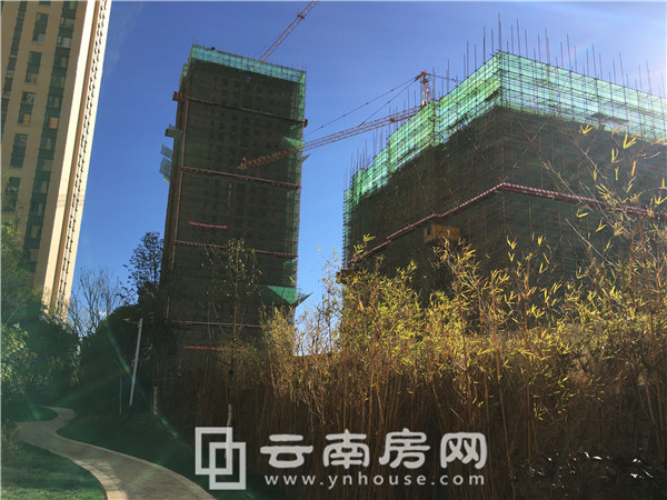 龍斗壹號(hào)海岸城二期實(shí)景圖 龍斗壹號(hào)海岸城二期實(shí)景圖