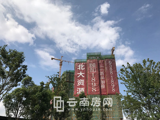 頤和1898施工進度 頤和1898施工進度