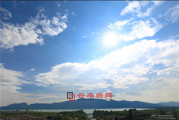 金科江湖海觀海大平層戶型圖 金科江湖海觀海大平層戶型圖