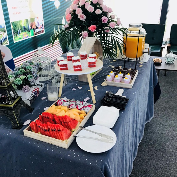 中梁博翠周末多肉植物大放送 中梁博翠周末多肉植物大放送