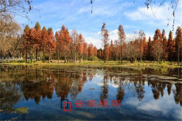 撈魚河濕地公園 撈魚河濕地公園