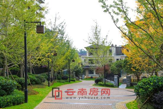 世博生態城鳴鳳鄰里 世博生態城鳴鳳鄰里