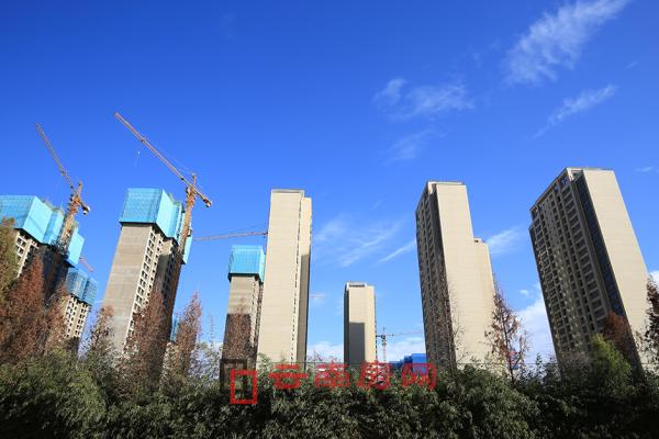 萬科翡翠一期實景圖 萬科翡翠一期實景圖