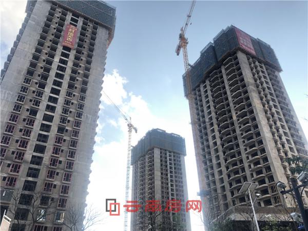 江東境界部分住宅已封頂 江東境界部分住宅已封頂