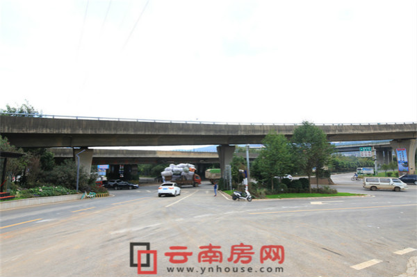 實地花鶴翎周邊實景 實地花鶴翎周邊實景