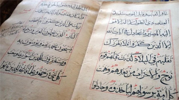 єwȣ1  DNA δɃȫ򔵓