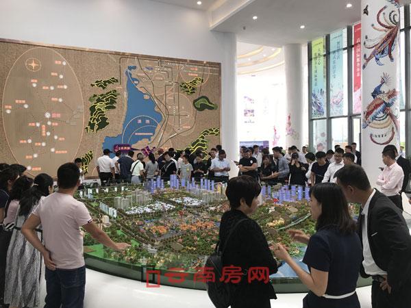 古滇未來城受到旅居置業者青睞 古滇未來城受到旅居置業者青睞