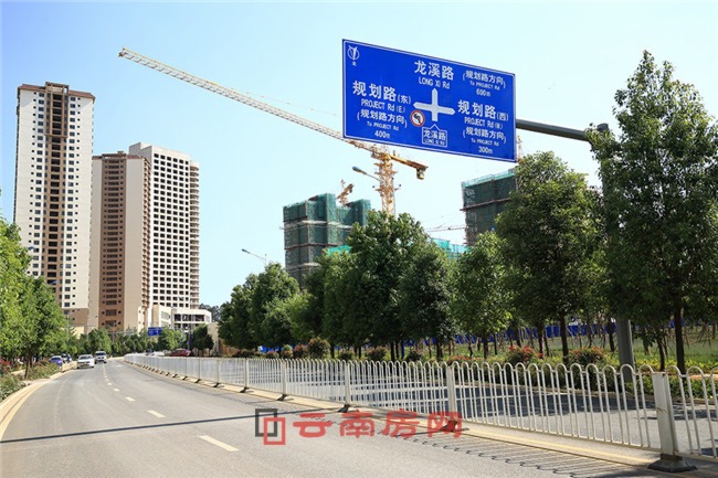 нҼ̖(ho)(xing)Ŀ߅·r