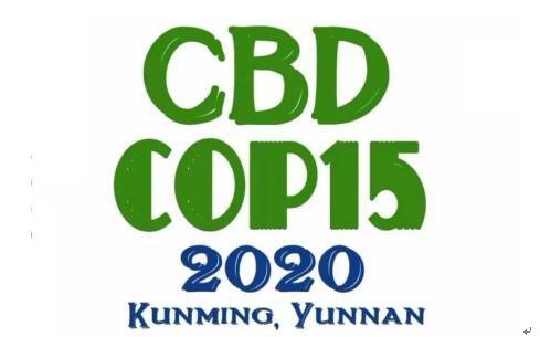 ȫĿ2020꡶Թs15ξsek