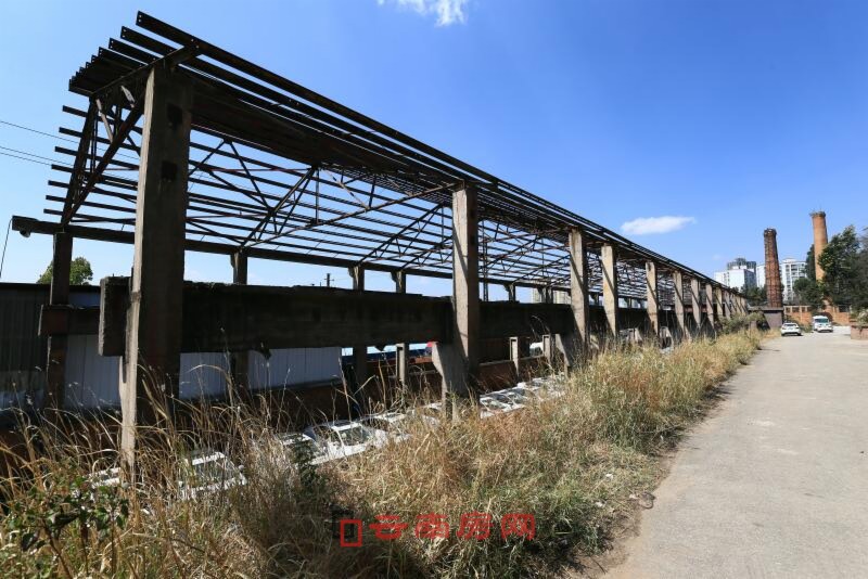 ͤ܈䓏SF(xin)D/ȫ