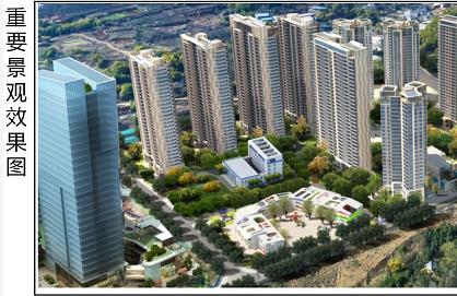 中壩9號地塊 中壩9號地塊