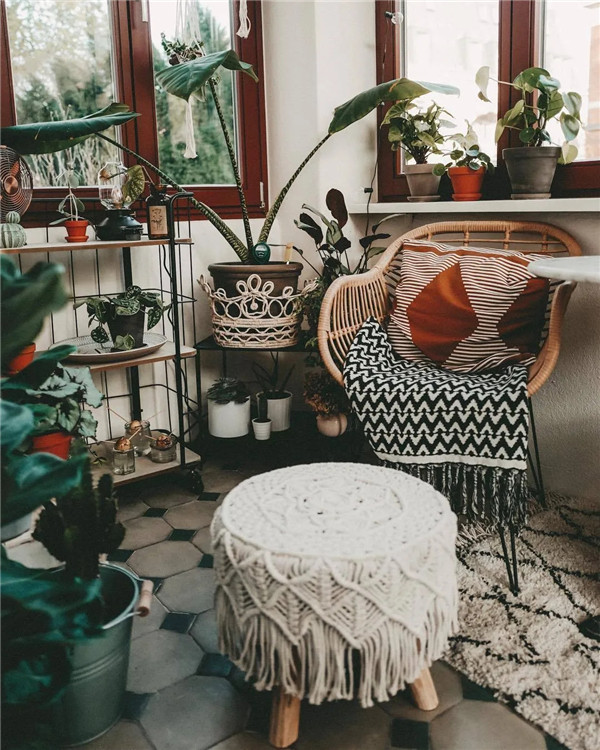 她把火遍ins的“野餐社交”新寵放在家里 她把火遍ins的“野餐社交”新寵放在家里