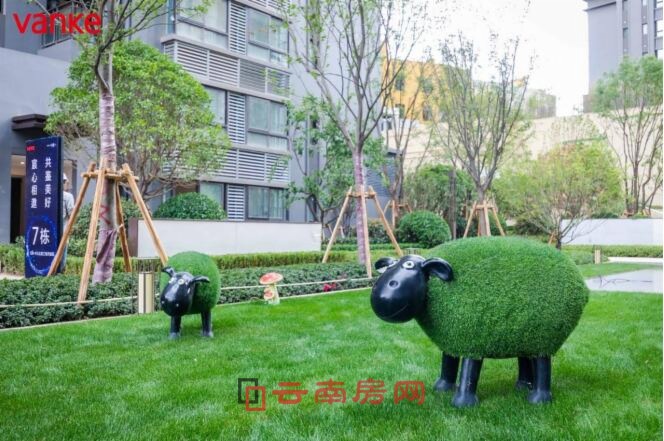 (實(shí)景圖) (實(shí)景圖)