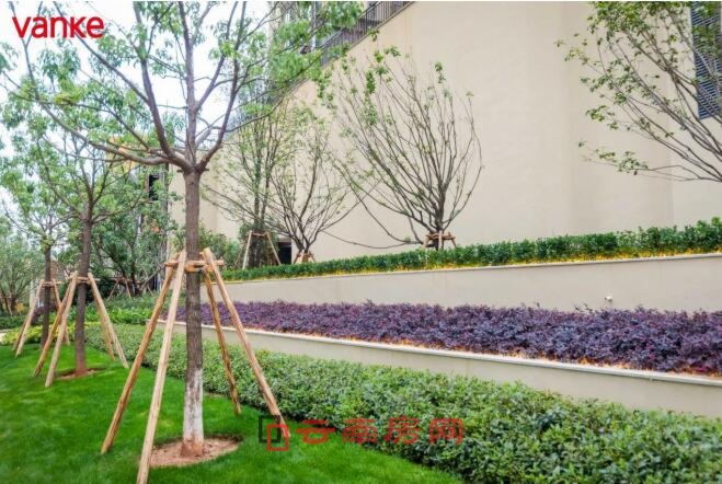 (實(shí)景圖) (實(shí)景圖)