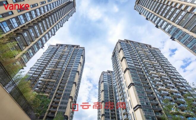 (實(shí)景圖) (實(shí)景圖)