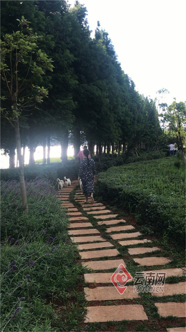 lBȮӲҎء BȮО錢{ϵy