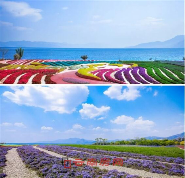 xW(wng)t򿨵؏Vảع@