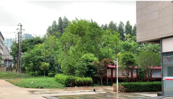 P^KҴ弰|վ´fǸĽĿA2؉K