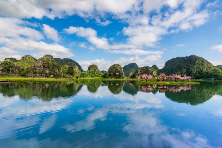 ZС(zhn)y(chung)ߺھW(wng)tްl(f)չƽ_5