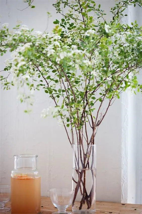 ձƌW(xu)ҿY(ji)7(g)ӼҸE