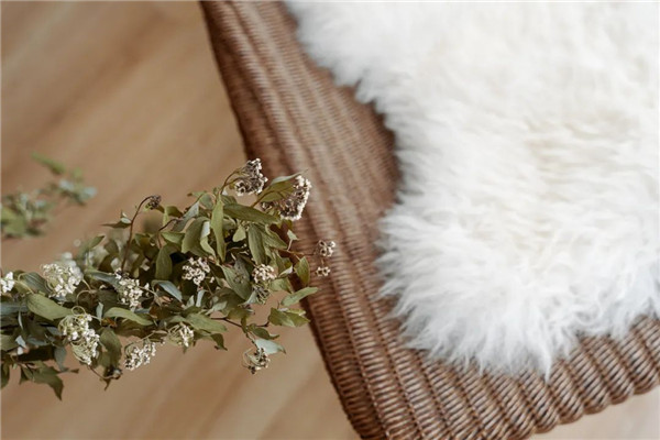 現(xiàn)實浪漫滿屋 現(xiàn)實浪漫滿屋