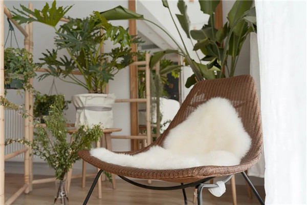 現(xiàn)實浪漫滿屋 現(xiàn)實浪漫滿屋