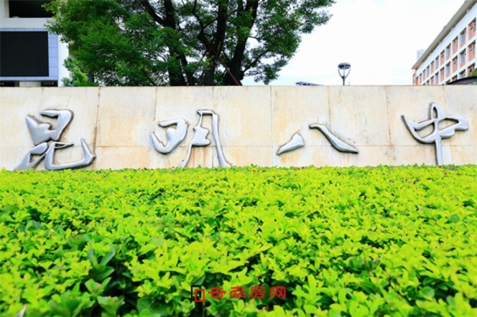 碧桂園龍川府項目教育配套圖 碧桂園龍川府項目教育配套圖