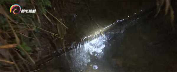 昆明螳螂川水質(zhì)多次總磷超標(biāo)!環(huán)境生態(tài)局半夜展開污染源調(diào)查 昆明螳螂川水質(zhì)多次總磷超標(biāo)!環(huán)境生態(tài)局半夜展開污染源調(diào)查