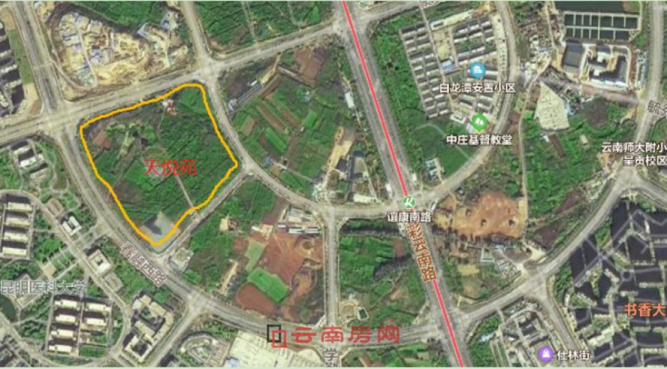 Sɫl(ni)鿵쐂Է(xing)Ŀć