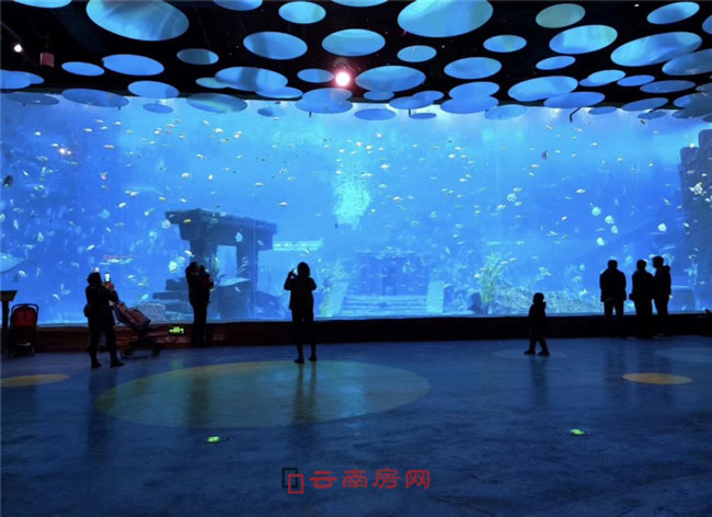 ڄ(chung)óǡڄ(chung)