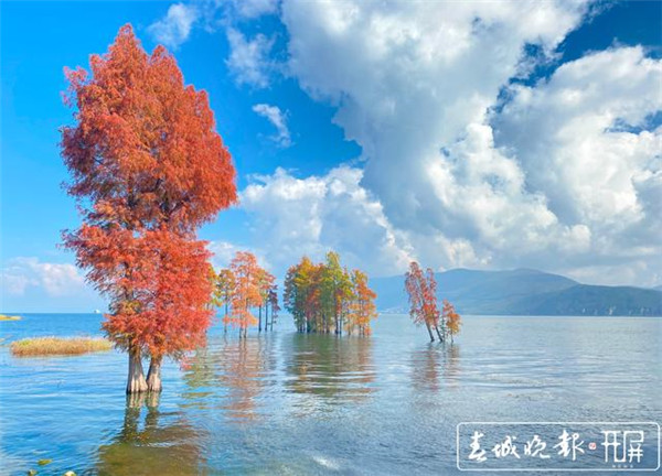 һҼζȼم^(q)ųζȼم^(q)ϰ