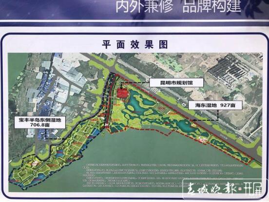 寶豐半島濕地一期 寶豐半島濕地一期