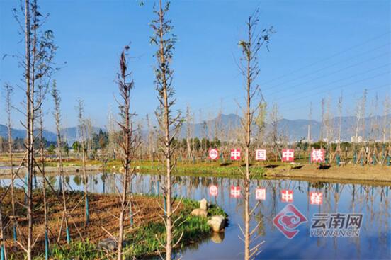 去年竣工的草海北片區5#濕地 去年竣工的草海北片區5#濕地