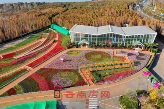 撈魚河公園實景圖 撈魚河公園實景圖