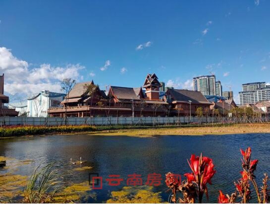 已建成的濕地公園實景 已建成的濕地公園實景