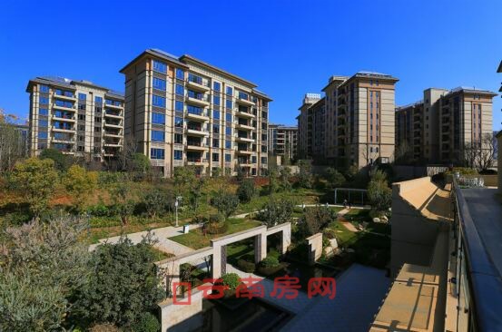 н̹@|@ֲͬM(jn)нwA(y)Ӌ(j)8µ