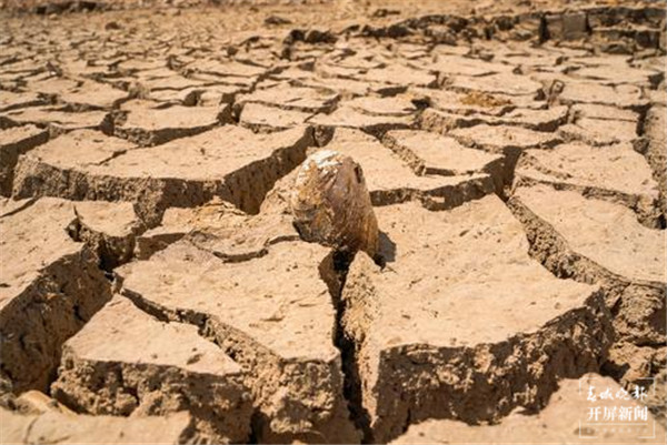云南陸良縣多座水庫干涸龜裂,3萬多人出現飲水困難 云南陸良縣多座水庫干涸龜裂,3萬多人出現飲水困難