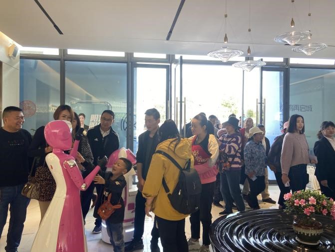 碧桂園楚雄映象示范區開放