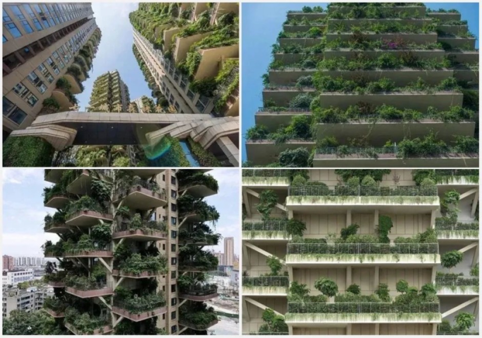 mֱɭ֣Bosco Verticaleͳɶһɭֻ@DDԴھW(wng)j(lu)