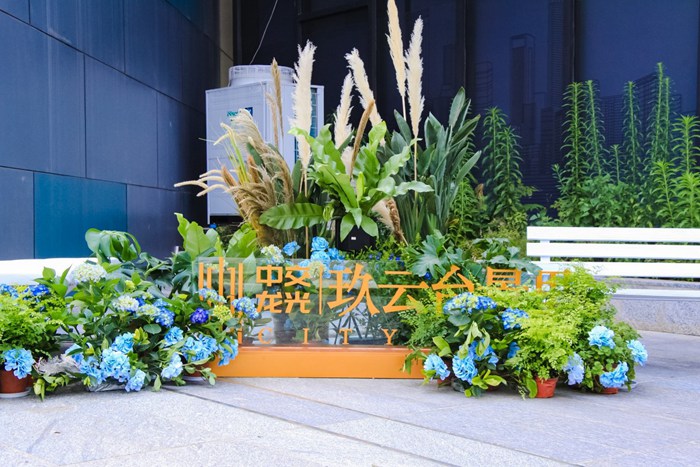 中交龍光玖云臺景里城市理想示范區 盛大開放7 中交龍光玖云臺景里城市理想示范區 盛大開放7