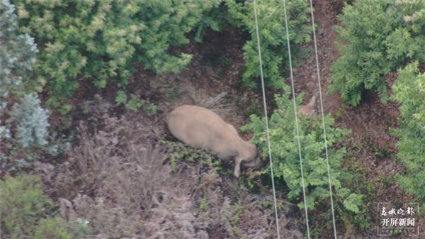 15^󡰹ԡɽhǡذl·c