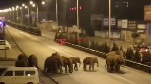 15^󡰹ԡɽhǡذl·c