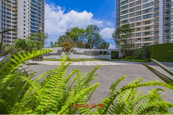 碧桂園龍騰世家項目實景圖 碧桂園龍騰世家項目實景圖