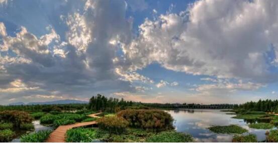 l(f)B(ti)u(xing)Ŀoع@