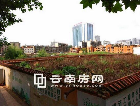 棕樹營首批地塊自2014年閑置至今 棕樹營首批地塊自2014年閑置至今