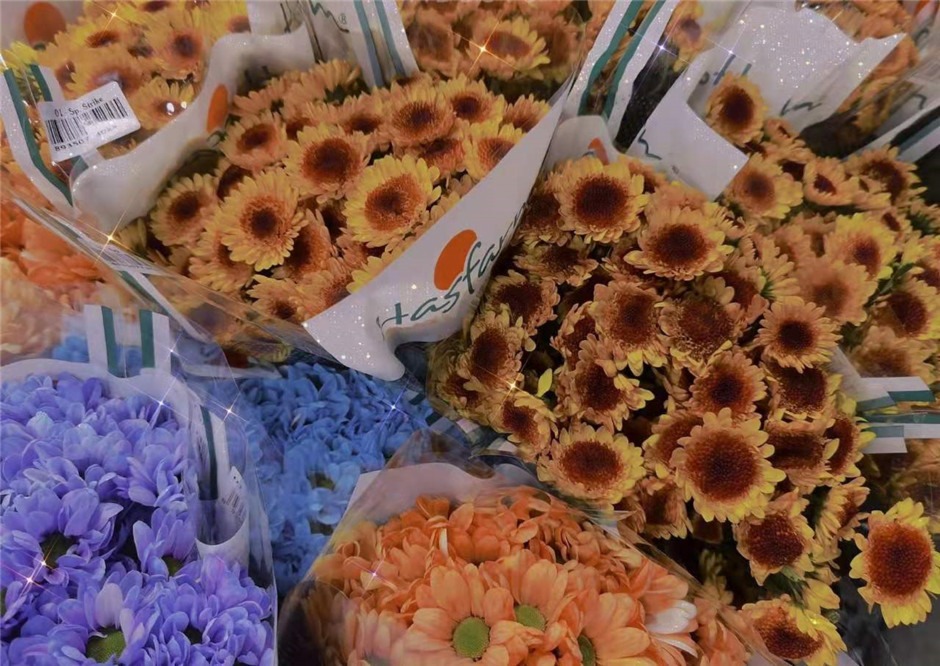 手捧鮮花,去看夕陽和海(意境圖) 手捧鮮花,去看夕陽和海(意境圖)