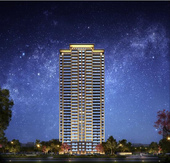 世茂璀璨世家為純板宅設計 世茂璀璨世家為純板宅設計