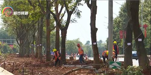 wC(j)M(jn)@C(j)(chng)Q@Щc(din)ee(cu)^(gu)